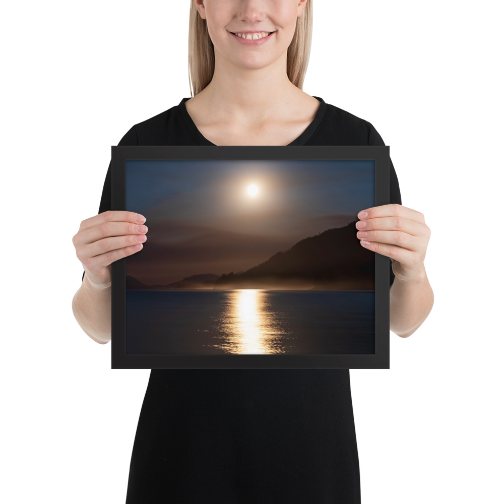 Moonlit Forest Fire - Lake Cowichan, BC - Image 4