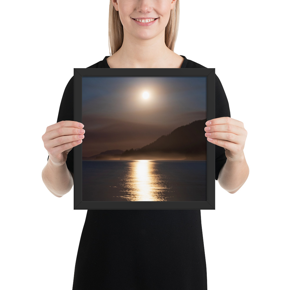 Moonlit Forest Fire - Lake Cowichan, BC - Image 5