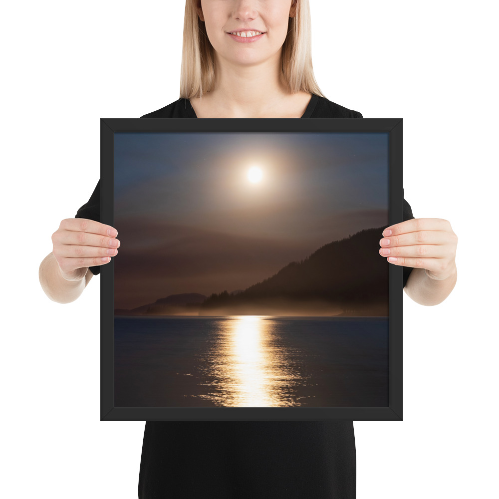 Moonlit Forest Fire - Lake Cowichan, BC - Image 8