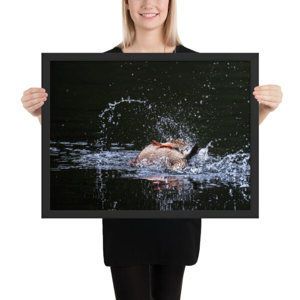 The Water Dance - Esquimalt, BC