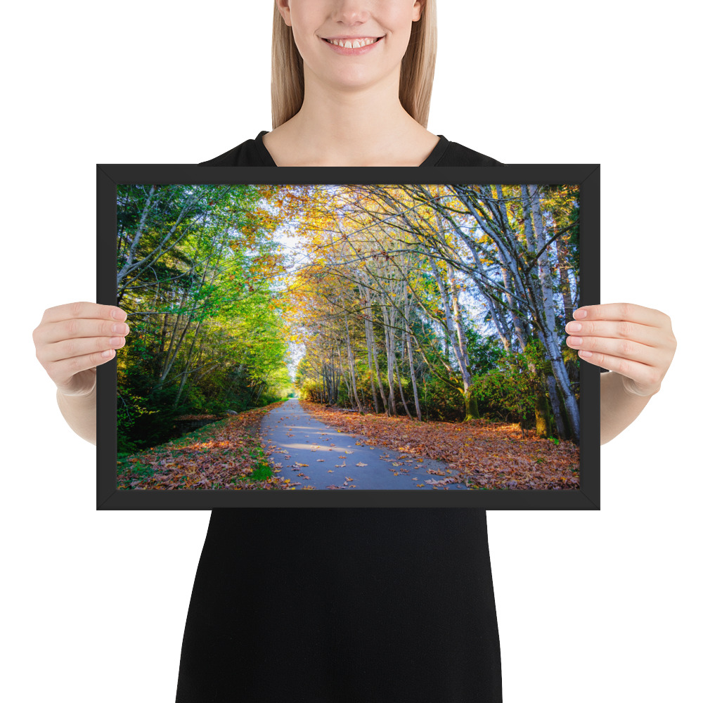 Tunnel of Autumn Colours - Qualicum Beach, BC - Image 3