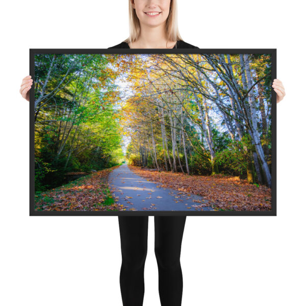 Tunnel of Autumn Colours - Qualicum Beach, BC
