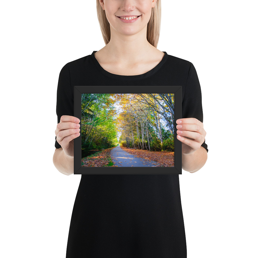 Tunnel of Autumn Colours - Qualicum Beach, BC - Image 2